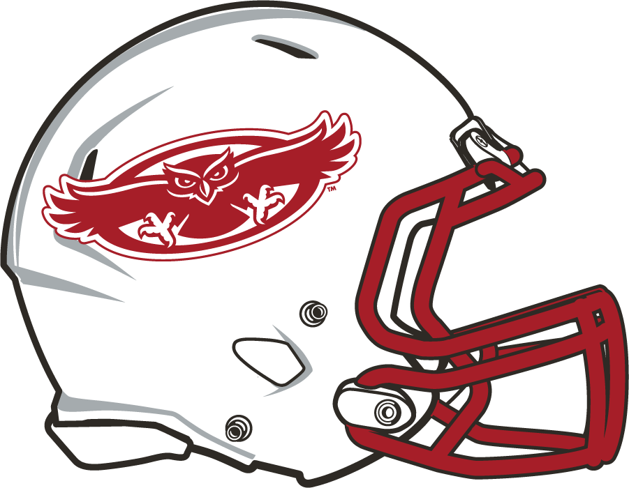 Florida Atlantic Owls 2015-2017 Helmet Logo diy DTF decal sticker